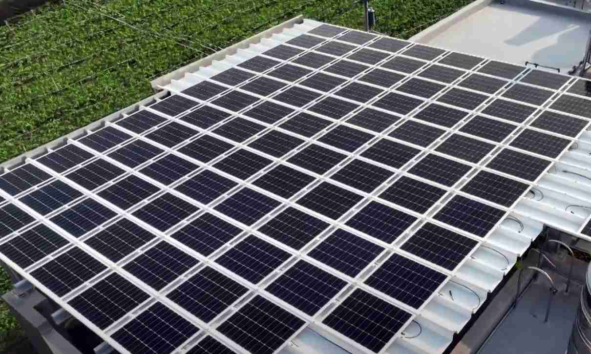 尊时凯龙SunSteel光电浪板升级双玻结构，，，，以提升机械负载强度及气候耐候度，，，，可广泛运用于多元场域